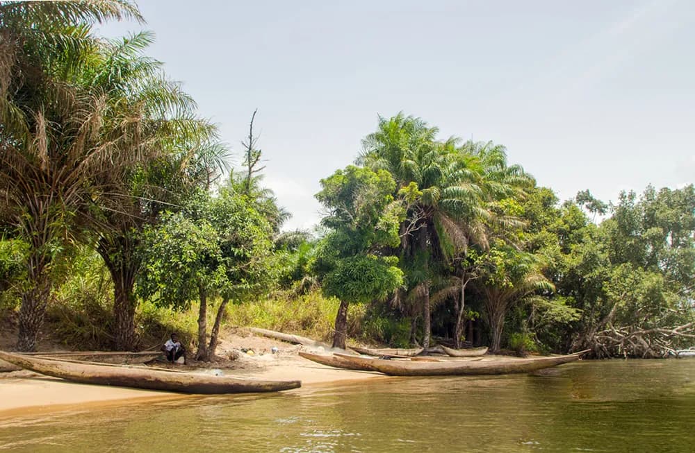 Bonth and Sherbro Island Cultural - Image 1