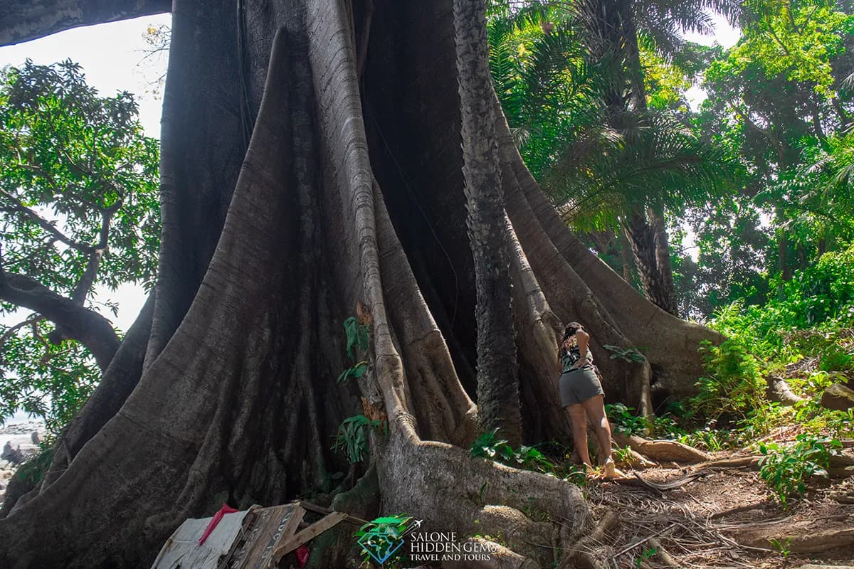 Outamba Kilimi Nature Tour thumbnail 2