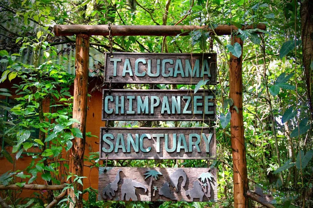 Tacugama Chimp Sanctuary